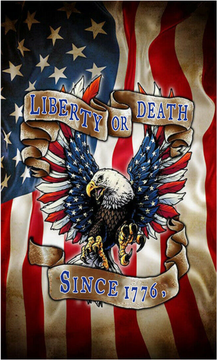 Liberty or Death Since 1776 3'X5' Banner Flag ROUGH TEX® 100D