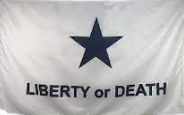 Troutman Lone Star Texas 3'x5' Embroidered Flag ROUGH TEX® 600D Oxford Nylon Double Sided