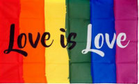 Love Is Love 12''X18'' Flag With Grommets Rough Tex® 100D
