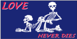 Love Never Dies Bumper Sticker Pirate Lovers