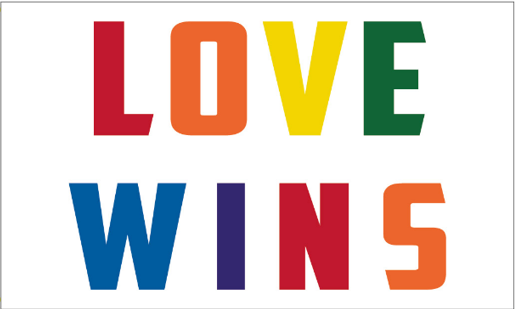 Love Wins 12"x18" Double Sided Flag With Grommets ROUGH TEX® 100D Rainbow Pride
