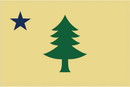 Maine 1900 2'x3' Flag ROUGH TEX® 100D