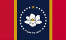 Mississippi Magnolia 2'x3' Embroidered Flag ROUGH TEX® Cotton