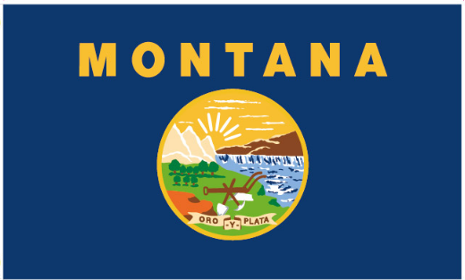 Montana 12"x18" Stick Flag ROUGH TEX® 100D 30" Wooden Stick