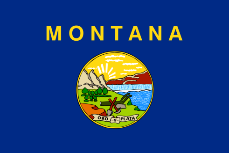 Montana 4'x6' Flag ROUGH TEX® Nylon 200D