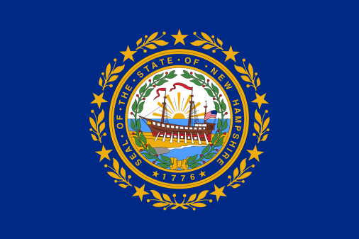 New Hampshire 3'x5' Flag ROUGH TEX® 68D Nylon