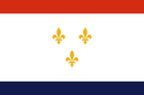 New Orleans 3'x5' Flag ROUGH TEX® 68D Nylon