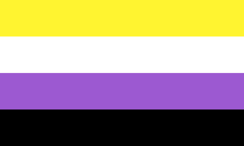 Nonbinary 12"x18" Double Sided Nylon Flag With Grommets ROUGH TEX® 68D
