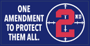 One Amendment To Protect Them All Blue Bumper Sticker