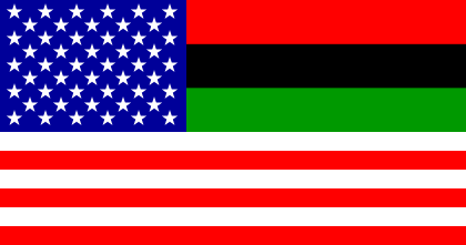 3'X5' 100D USA Afro American Flag
