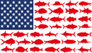 3'X5' 100D American beach life flag USA Fishing