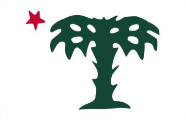 Palmetto Guard 1861 12"x18" Flag With Grommets ROUGH TEX® 100D