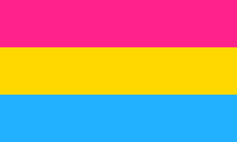 Pansexual 12"x18" Nylon Flag With Grommets ROUGH TEX® 68D