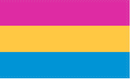 Pansexual Pride 4'x6' Flag ROUGH TEX® 68D