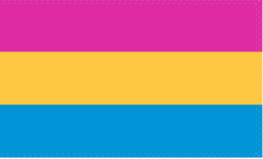 Pansexual Pride 4'x6' Flag ROUGH TEX® 68D