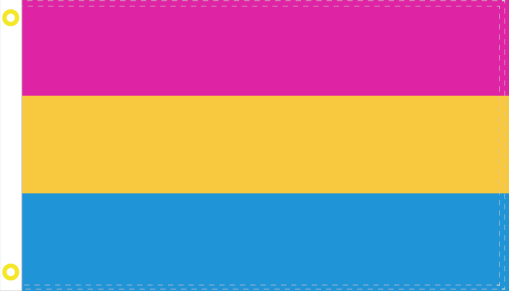 Pansexual 3'X5' Flag ROUGH TEX® 100D