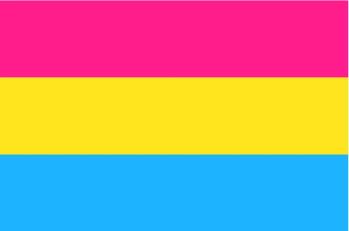 Pansexual Pride 4"x6" Desk Stick Flag Rough Tex® 68D