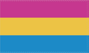 Pansexual 3'X5' Flag Rough Tex® 100D