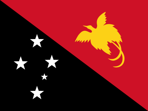 Papua New Guinea 3'x5' Flag ROUGH TEX® 68D Nylon