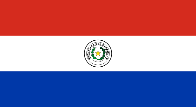 Paraguay 12"x18" Flag With Grommets ROUGH TEX® 100D