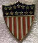 American Shield Lapel Pin