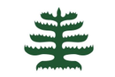 Pine Tree (MASSACHUSETTES ENSIGN) 3'X5' Flag ROUGH TEX® 100D Liberty Flag