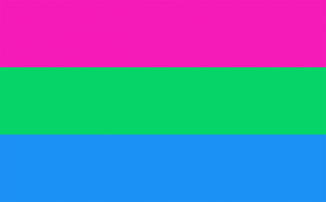 Polysexual 12"x18" Double Sided Nylon Flag With Grommets ROUGH TEX® 68D