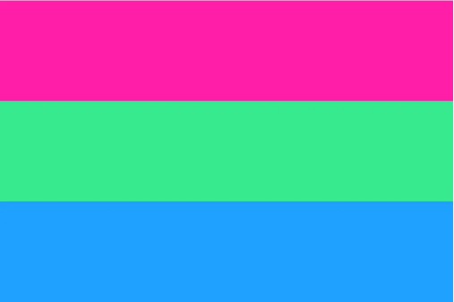 Polysexual Pride 4"x6" Desk Stick Flag Rough Tex® 68D
