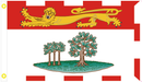 Prince Edward Island 3'X5' Flag Rough Tex® 100D