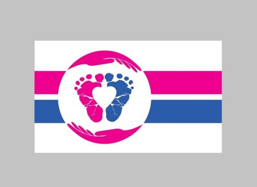Pro Life Pride 3'X5' Flag ROUGH TEX® 100D