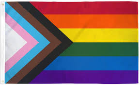 Progressive Pride 3'X5' Flag ROUGH TEX® 68D