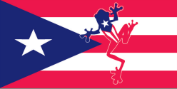 Puerto Rico Frog Bumper Sticker Coquí Soy de aquí, como el coquí