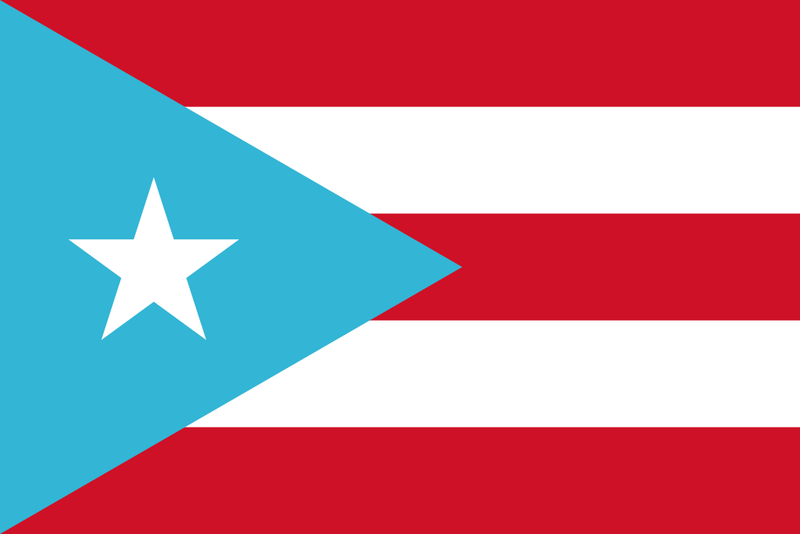 Puerto Rico Light Blue 12"x18" Car Flag Flag ROUGH TEX® 68D Single Sided
