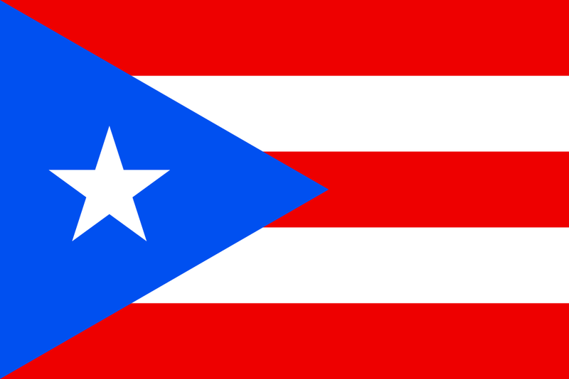 Puerto Rico 12"x18" Car Flag Flag ROUGH TEX® Double Sided
