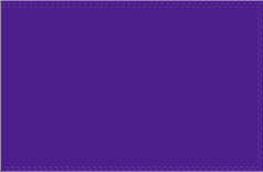 Purple Flag 12"x18" Flag With Grommets ROUGH TEX® 100D