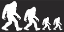 Sasquatch Family Black Bumper Sticker United States American Made Big Foot