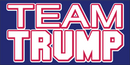 TEAM TRUMP Bumper Sticker United States American Made in USA Color Red Blue