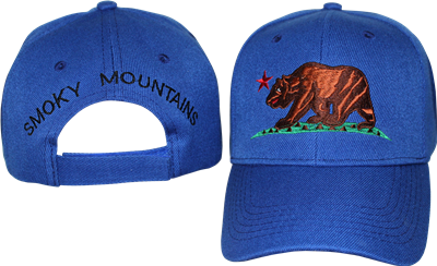 60 assorted smoky mountains bears caps