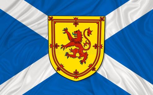 Scotland Crest 2'x3' Double Sided Flag ROUGH TEX® 100D