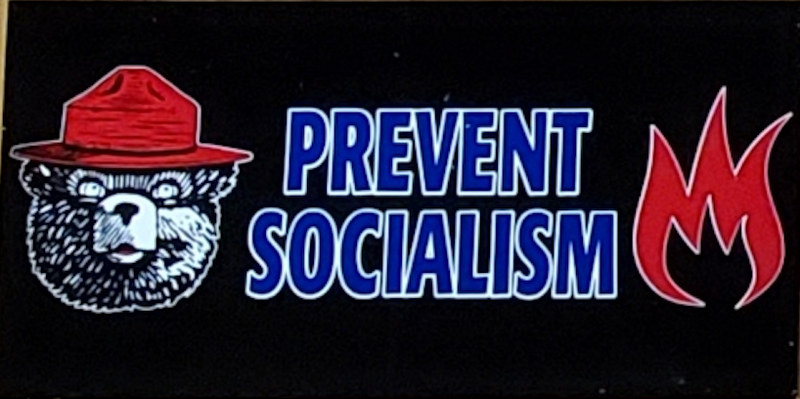 Smokey Bear Prevent Socialism - Bumper Sticker