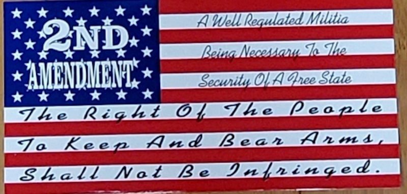 USA 2nd Amendment A Well Regulated Militia  - Bumper Sticker