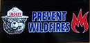 Smokey Bear Prevent Wildfires  - Bumper Sticker