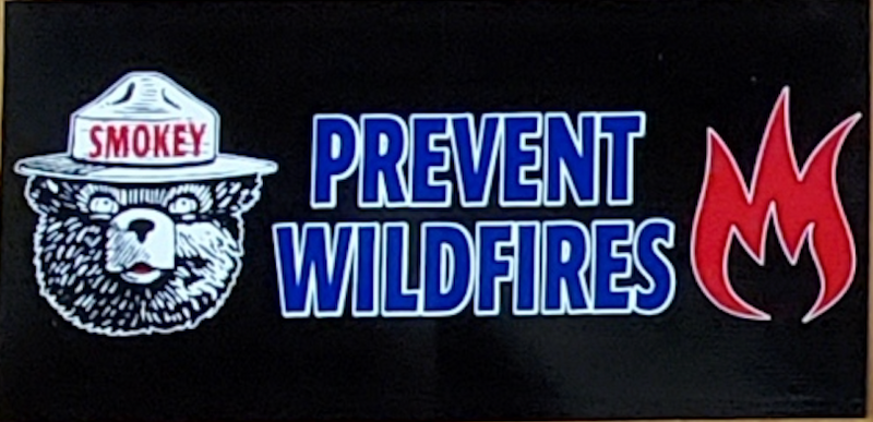 Smokey Bear Prevent Wildfires  - Bumper Sticker