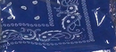 Assorted Bandana Paisley Head Wrap In Various Colors 100% Cotton 22"X22"