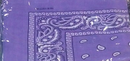 Assorted Bandana Paisley Head Wrap In Various Colors 100% Cotton 22"X22"