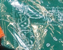 Assorted Bandana Paisley Head Wrap In Various Colors 100% Cotton 22"X22"