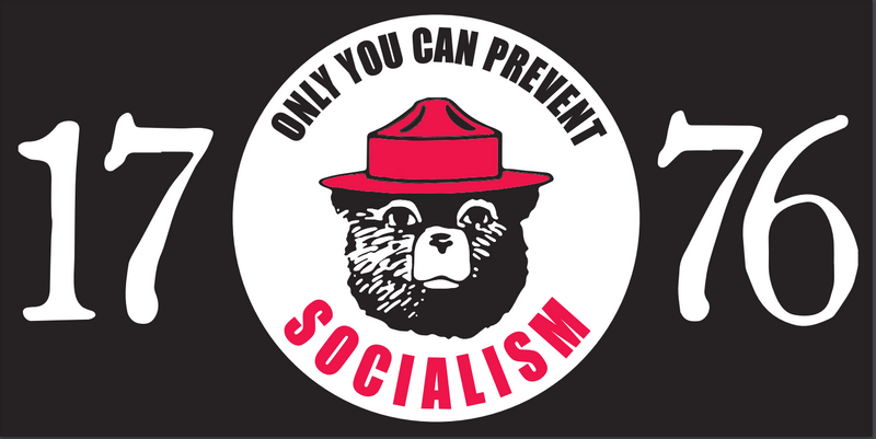 1776 Only You Can Prevent Socialism  - Bumper Sticker