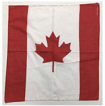 Assorted Countries Worldwide Flag Bandana Head Wraps 100% Cotton 22"X22"