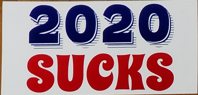 2020 Sucks - Bumper Sticker