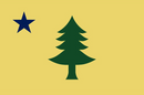 Maine 1900 Pine Tree Flag - 12"x18" 100D ROUGH TEX ® Proposed State Banner Stick Flags